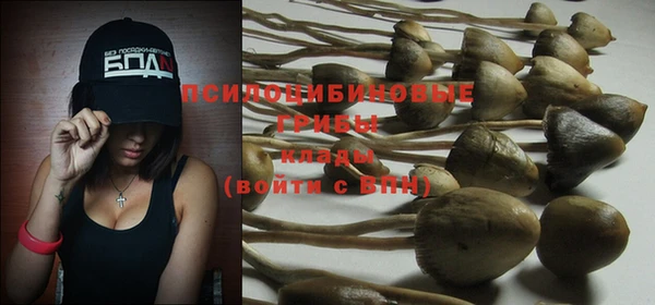 шишки Абдулино