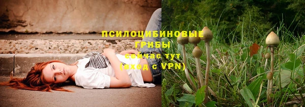 шишки Абдулино