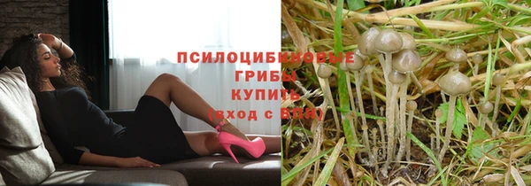 МДПВ Абинск