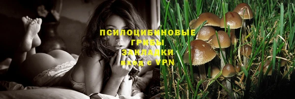 шишки Абдулино