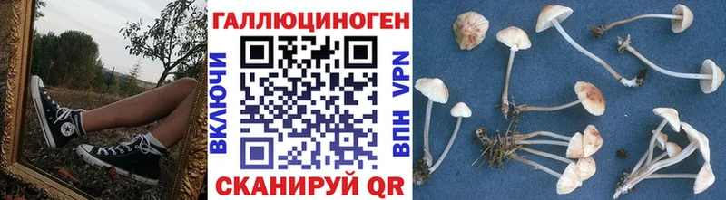 Галлюциногенные грибы прущие грибы  MEGA ССЫЛКА  Никольское  наркотики 